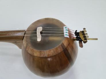 Kamancheh,Kamanche,Kamancha